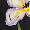 Iris Print Appliqué Floral Maxi Dress in Ebony