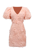 v-neck flower embellished puff Mini Dress in Ballet Pink
