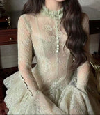 Embroidered Flared Long Sleeve Mini Dress
