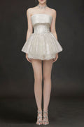 Alberta Mesh Tulle Strapless Tutu Mini Dress In Apricot