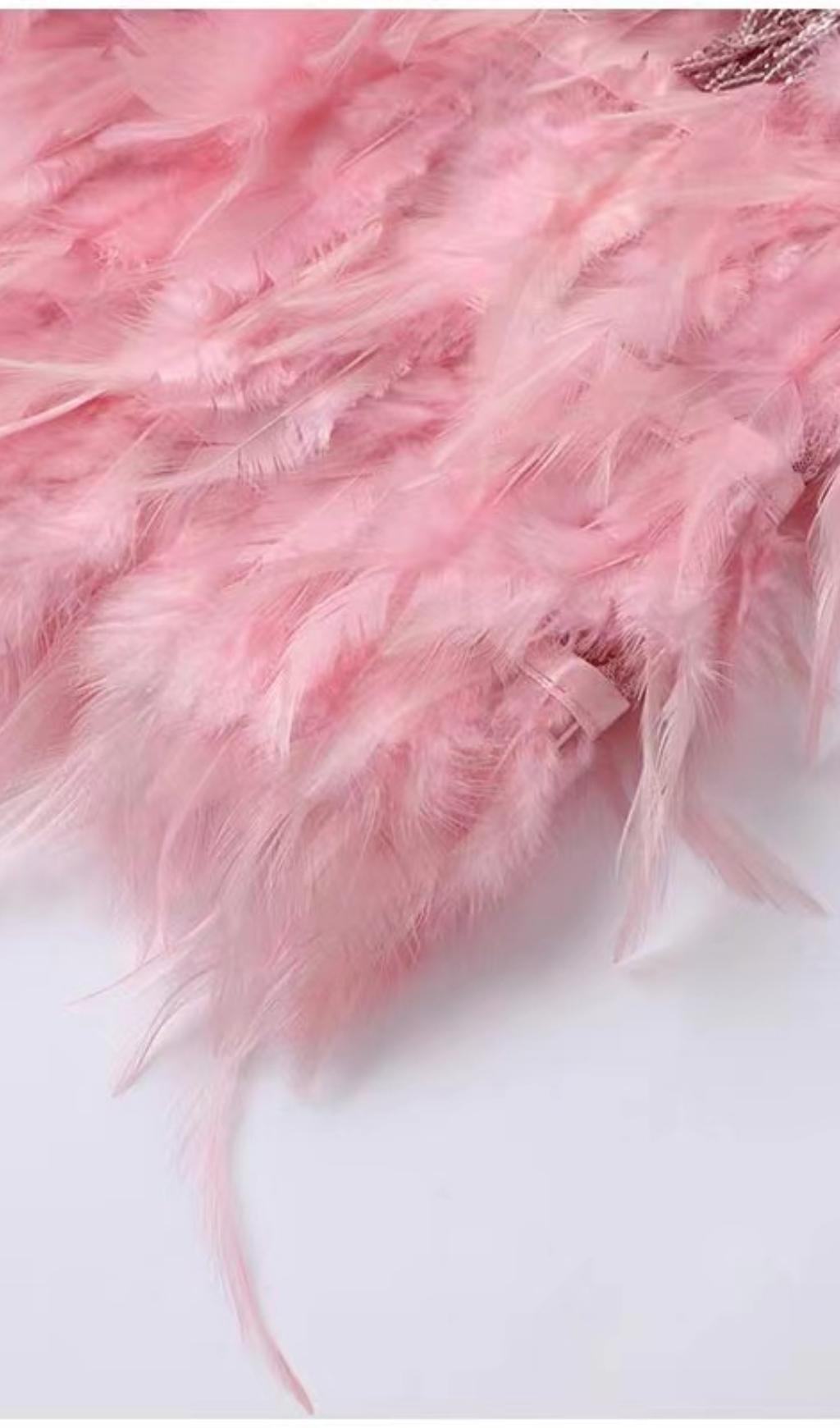 Pink Tassel Feather Mini Dress