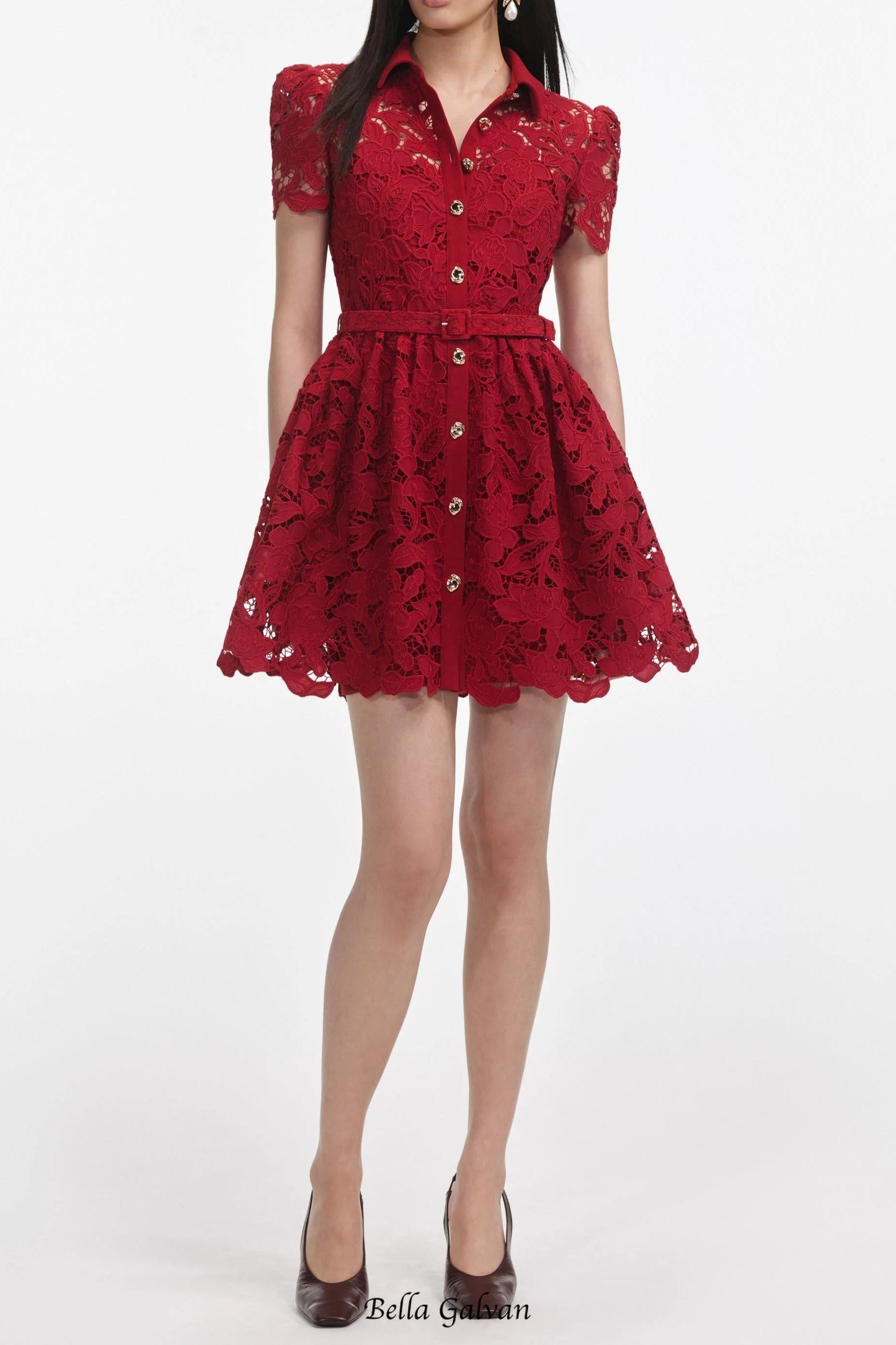 Burgundy Lace Collared Mini Dress