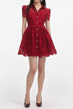 Flowering Girl Women Burgundy Lace Collared Mini Dress