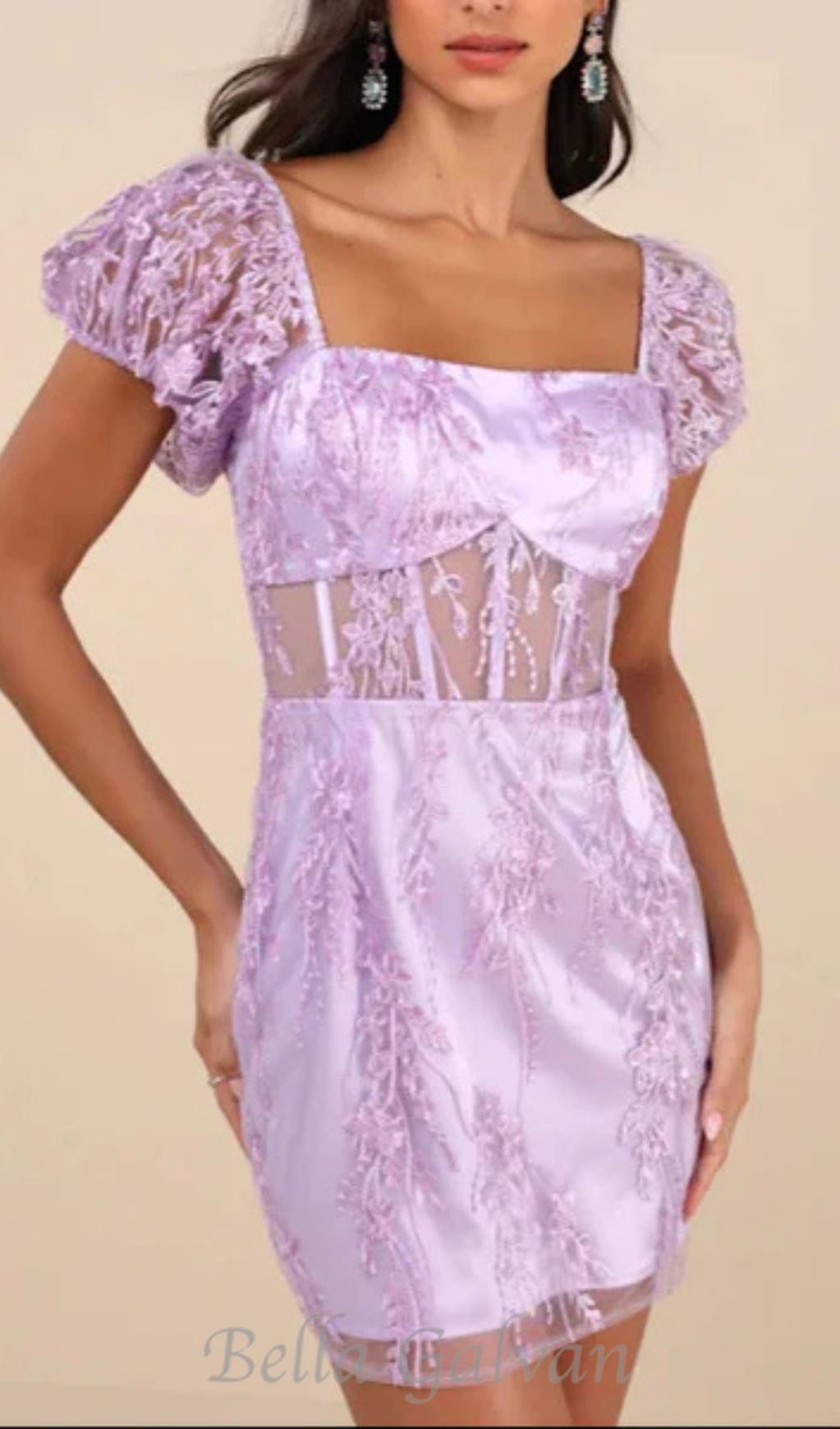 Flowering Girl Women Seriously Cute Lavender Embroidered Mesh Puff Sleeve Mini Dress