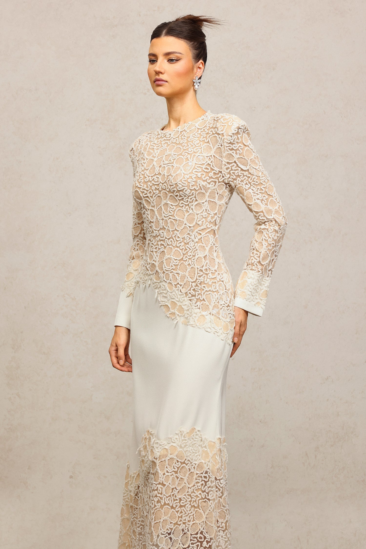 jacqueline Beige lace Embroidered long sleeve Maxi Dress