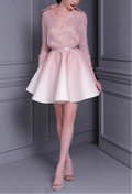 Light Pink Shirt Suit Mini Dress
