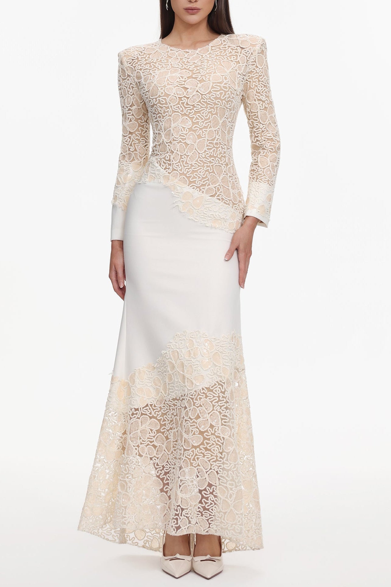 jacqueline Beige lace Embroidered long sleeve Maxi Dress