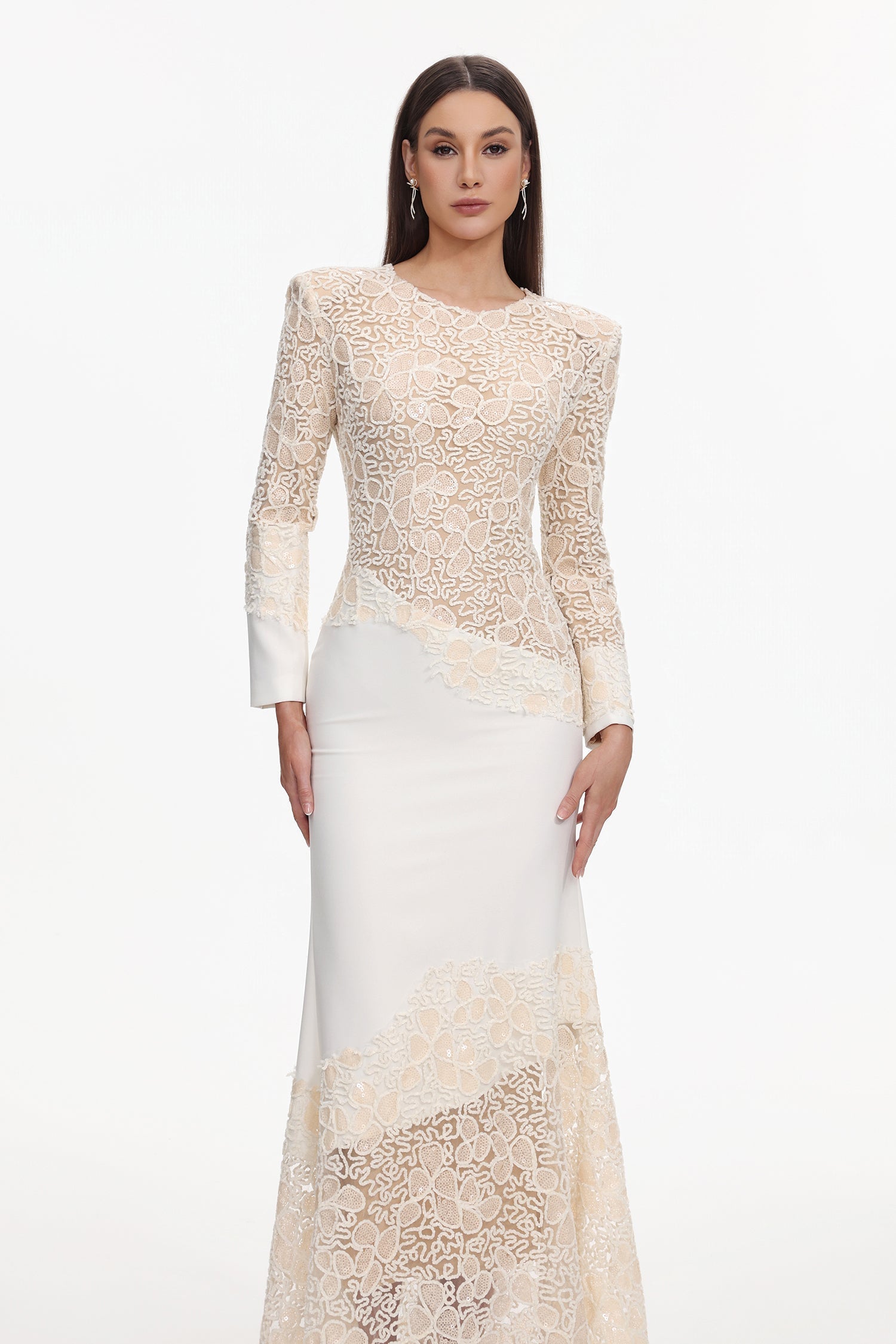 jacqueline Beige lace Embroidered long sleeve Maxi Dress