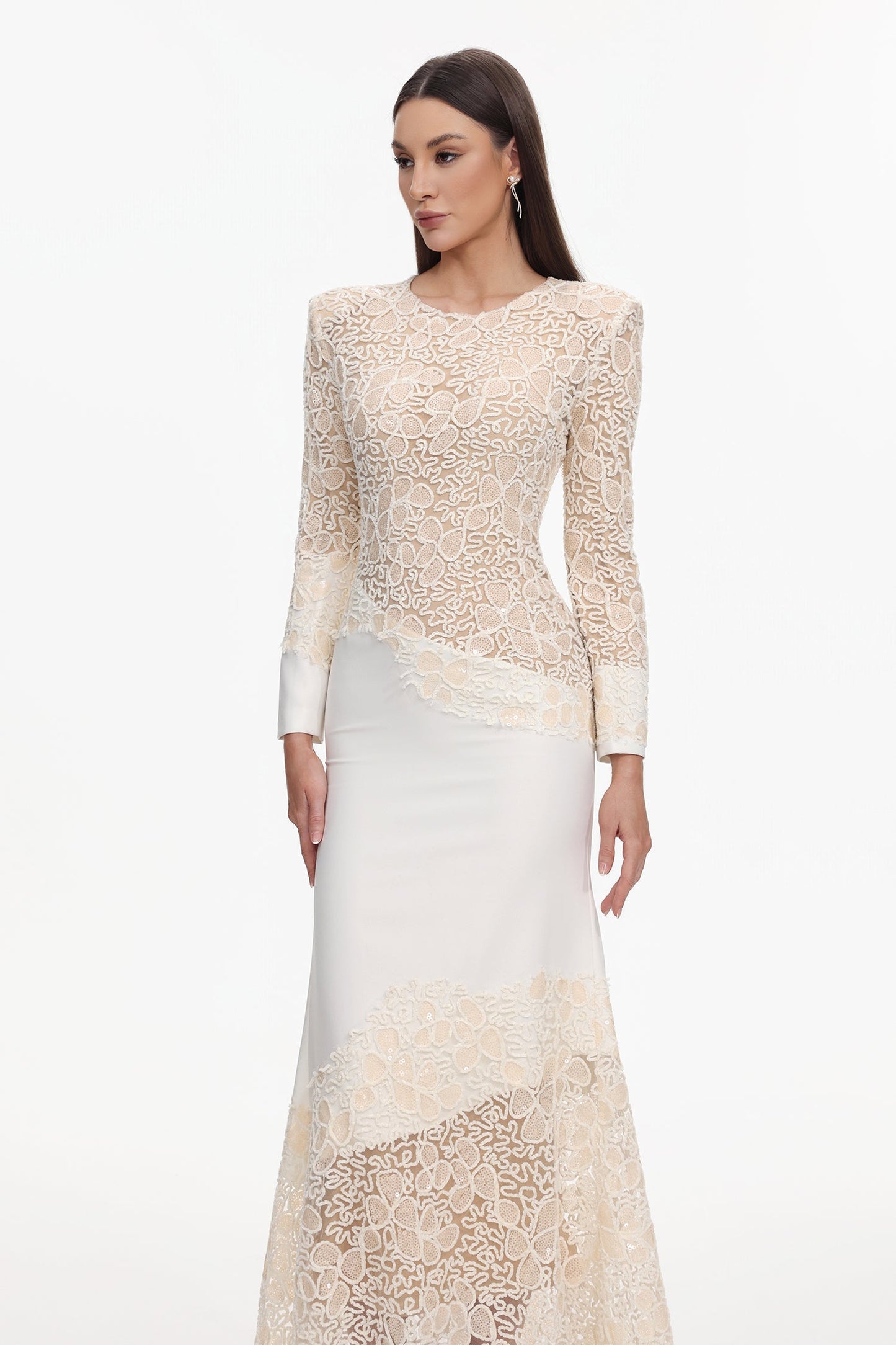 jacqueline Beige lace Embroidered long sleeve Maxi Dress