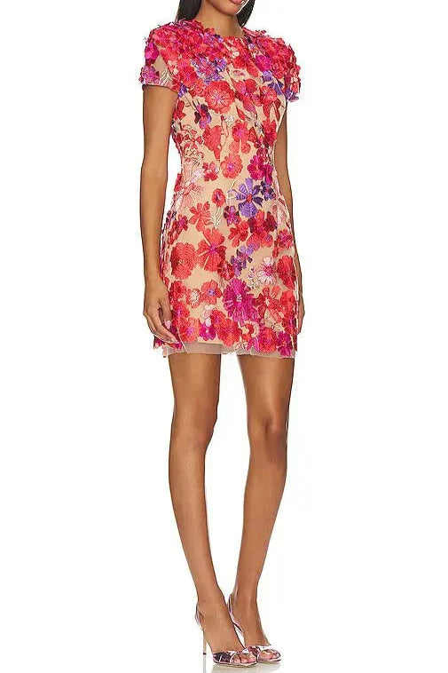Embroidered Applique Slim Mini Dress In Red