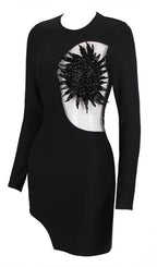 Flowering Girl Women Embellished Long Sleeve Bandage Mini Dress In Black