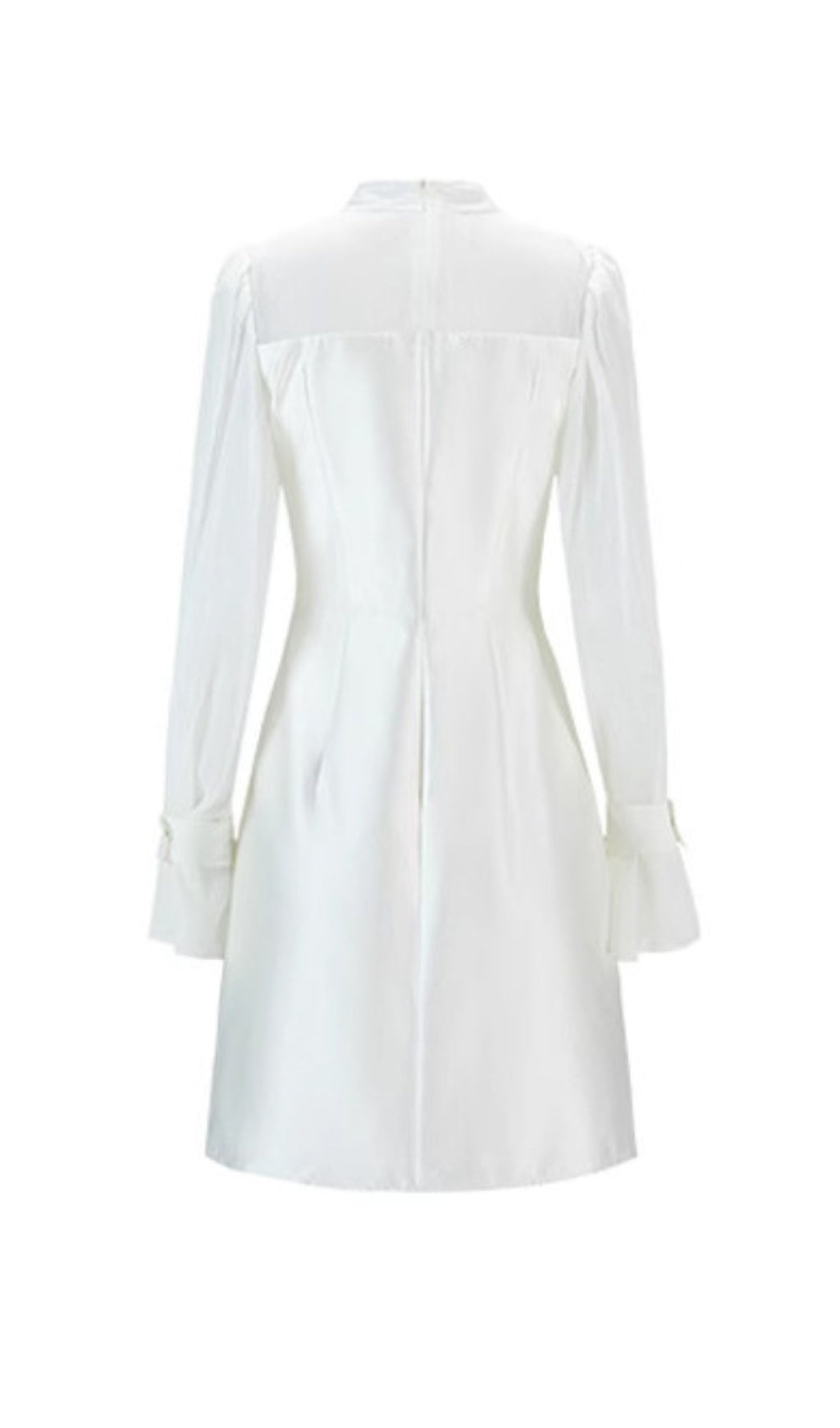 Flowering Girl Women White Mesh Long Sleeve Mini Dress