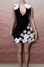 Black and White Mini Dress