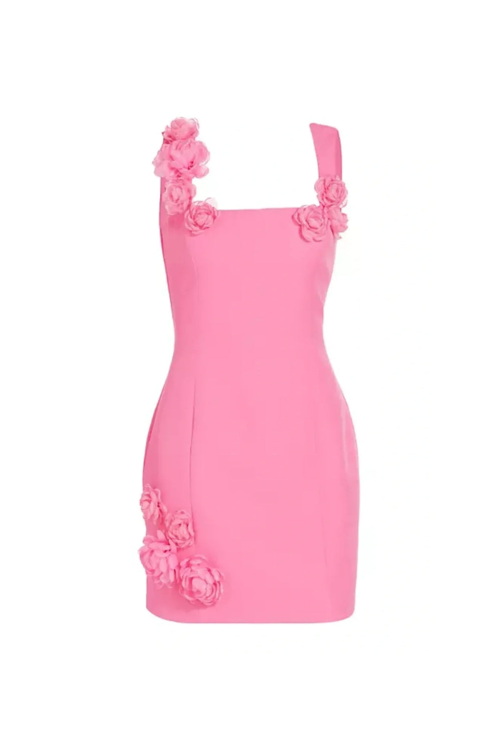 Dilanne Floral  Appliqué Mini Dress in Pink
