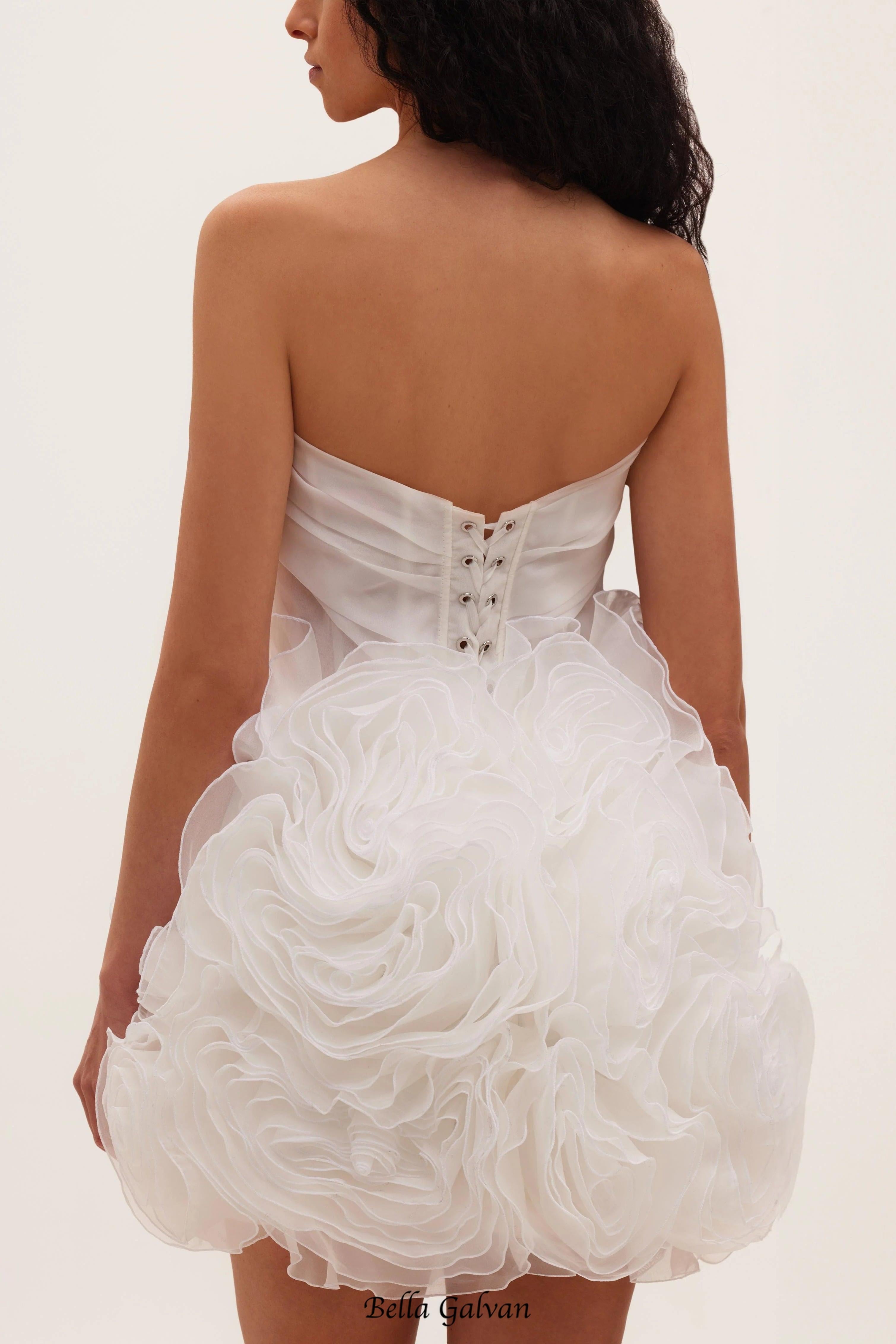 georgia Appliquéd organza white mini dress