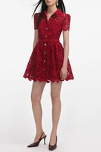 Flowering Girl Women Burgundy Lace Collared Mini Dress
