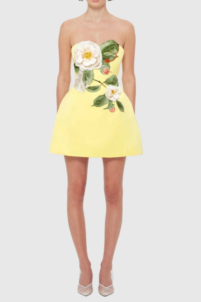 Flowering Girl Women Suzanne Appliqué Floral Bustier Mini Dress In Yellow