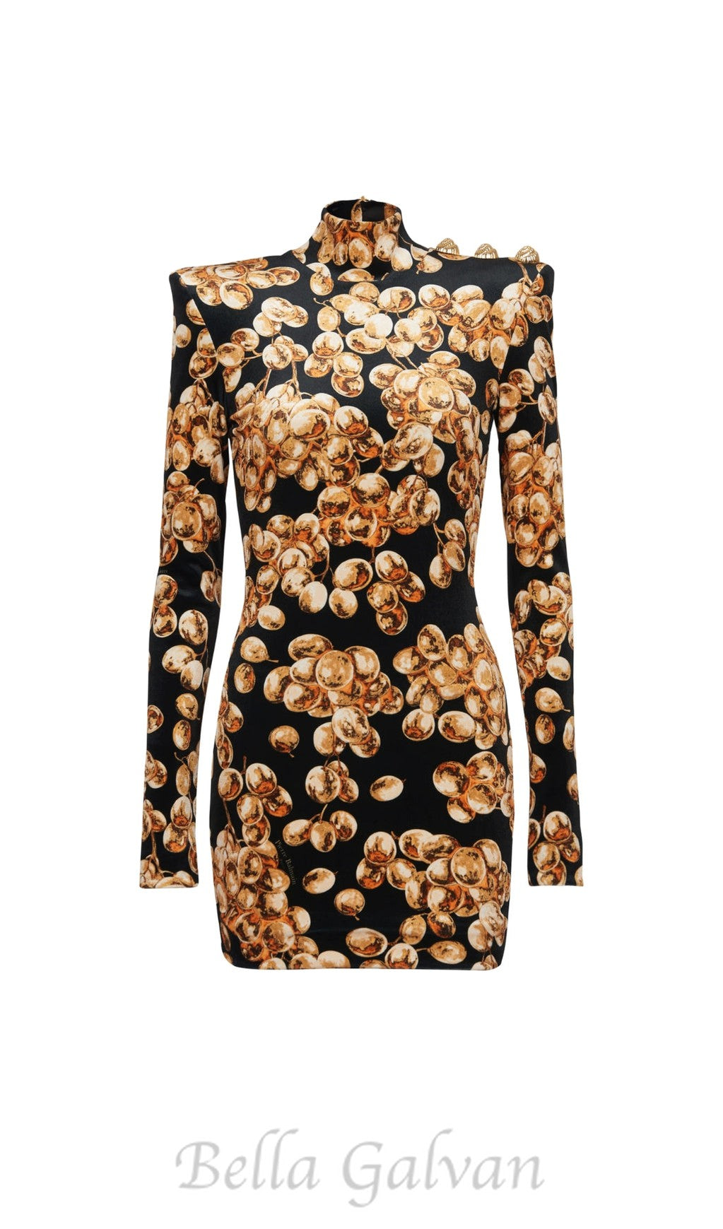 Flowering Girl Women CORETTA GRAPE PRINT VELVET MINI DRESS