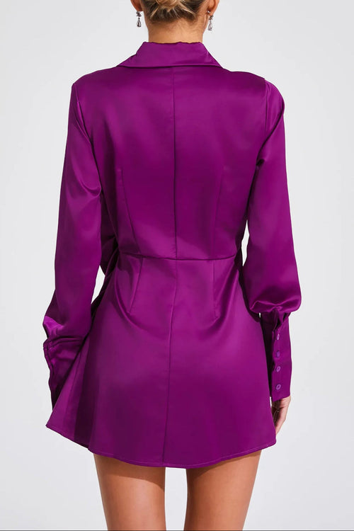 Ariana Long Sleeve Mini Dress