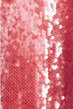 Flowering Girl Women Zora Sheer Sequin Deep V Neck Gown In Pink Red