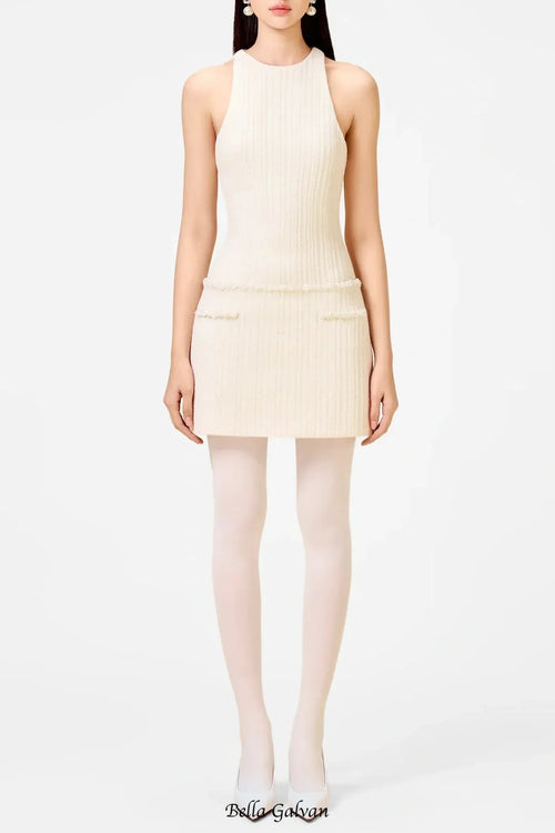 Abene Sleeveless Beaded Embellished Knit Mini Dress