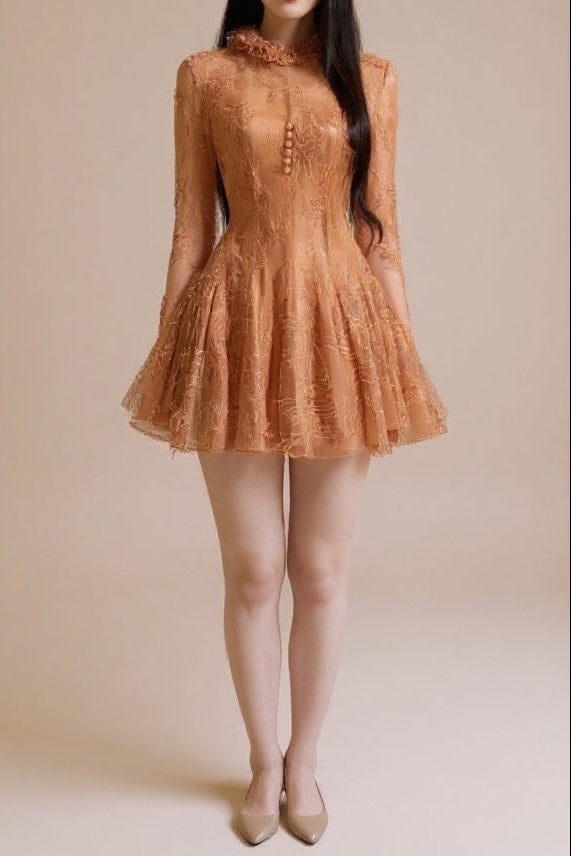 Embroidered Flared Long Sleeve Mini Dress