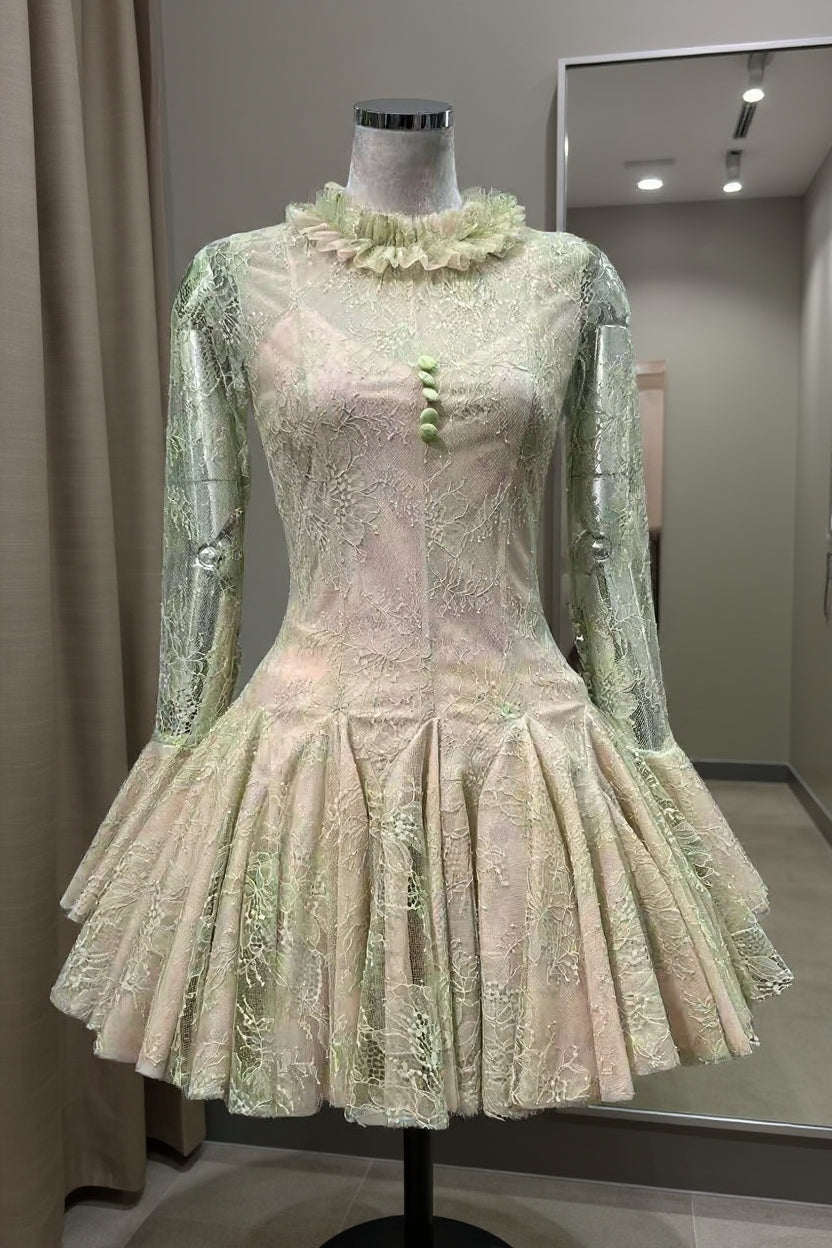 Embroidered Flared Long Sleeve Mini Dress