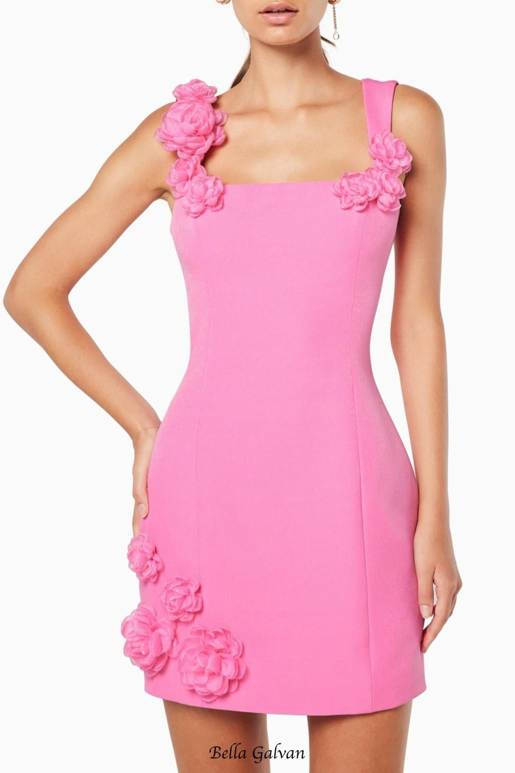 Flowering Girl Women Dilanne Floral Appliqué Mini Dress in Pink