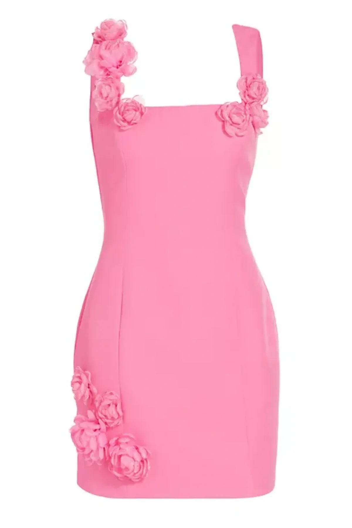 Flowering Girl Women Dilanne Floral Appliqué Mini Dress - Pink