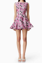 Aimee Butterfly embroidery A-Line Mini Dress in Pink