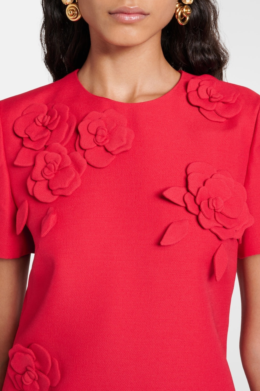 Flowering Girl Women Eleanor Floral Appliqué Mini Dress