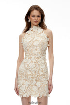 irene Neutral High Neck Lace embroidery Mini Dress
