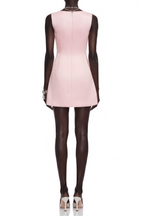 Flowering Girl Women Pink Sleeveless Boat Neck 3D Floral Print A-Line Mini Dress