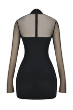 Kieran Halter Plunge Mesh Mini Dress