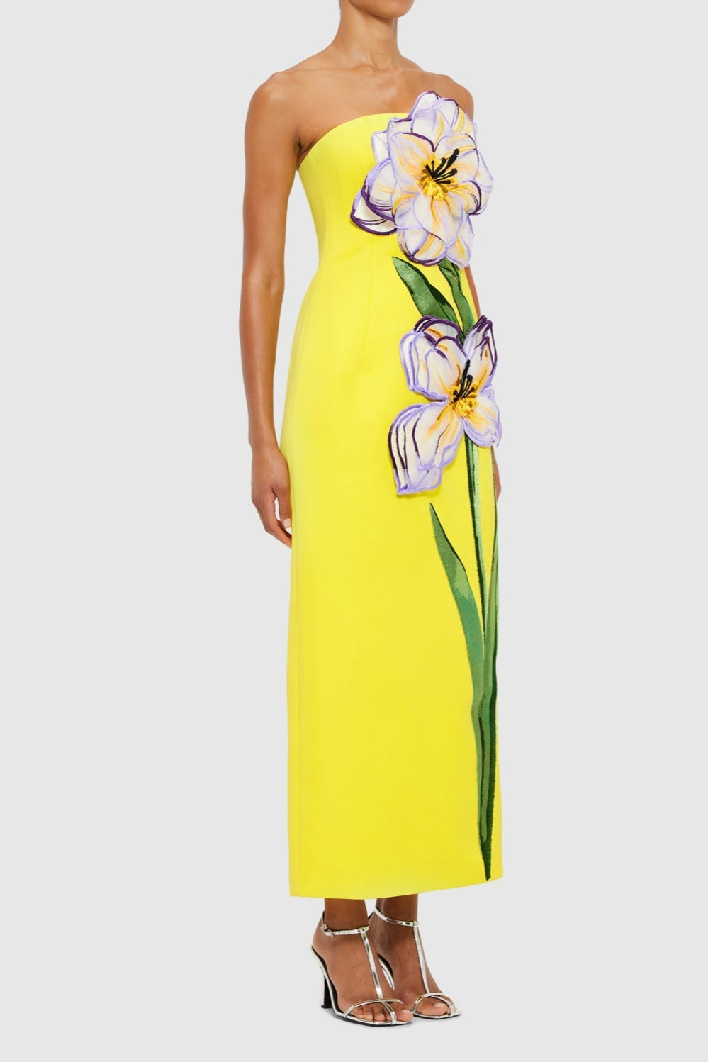 Suzanne Appliqué Floral Bustier Maxi Dress In Yellow