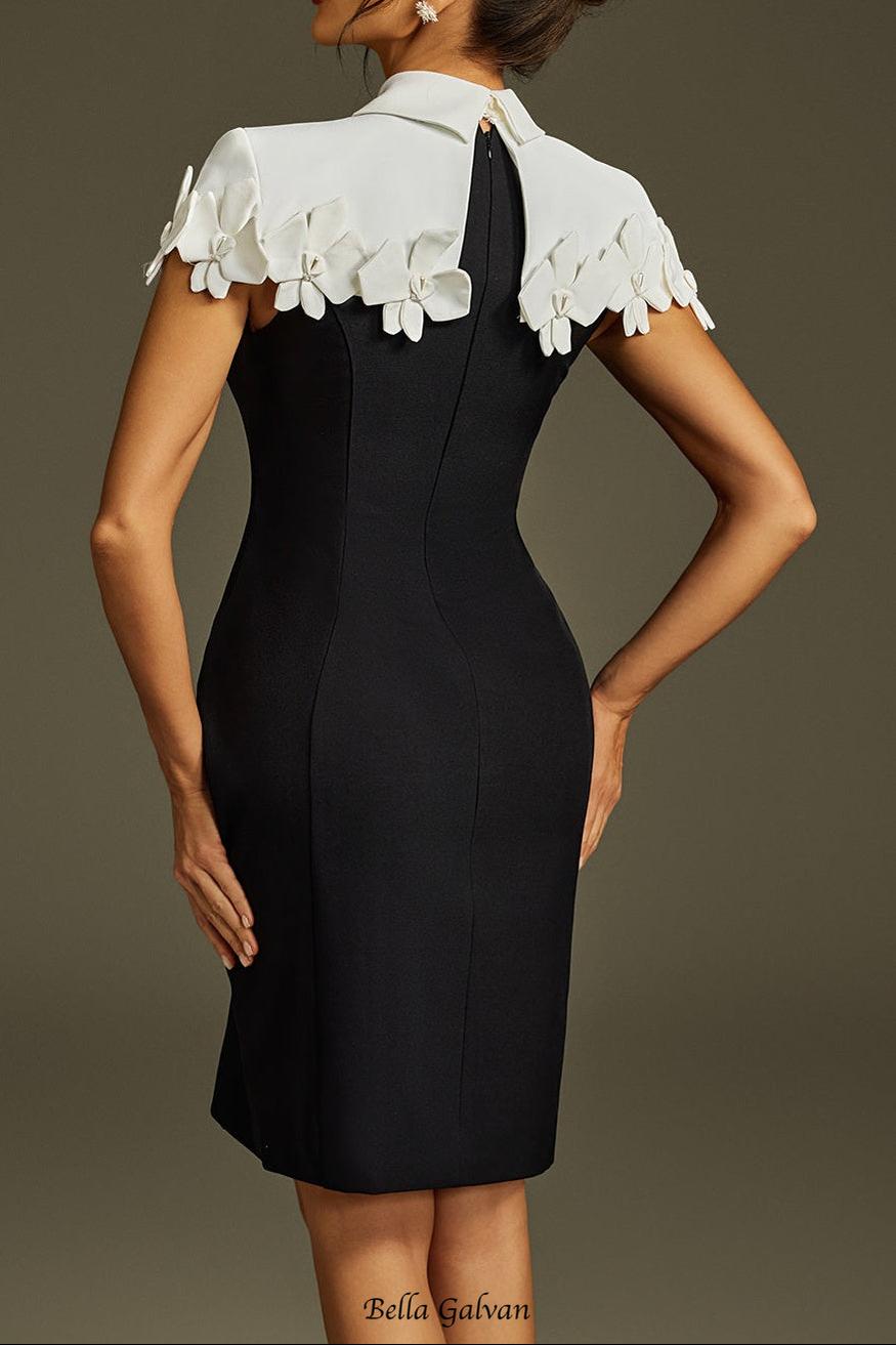alma Collar Flower Mini Dress In Black