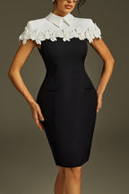 alma Collar Flower Mini Dress In Black