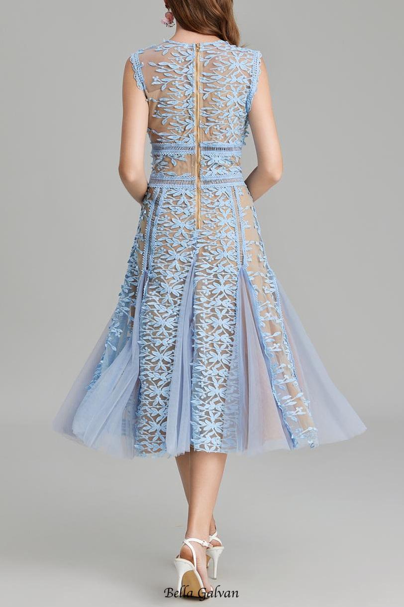 phoenix 3d Embroidered lace mesh midi dress in blue