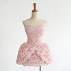 Lace Embroidered Bandeau Sleeveless Dress