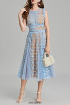 phoenix 3d Embroidered lace mesh midi dress in blue