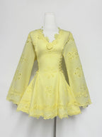 Flower embroidery hollow mini dress in white