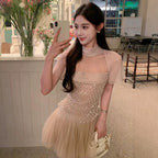 Sheer Mesh Rhinestone High Neck Tulle Mini Dress