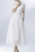 Lace Collared Belted Midi Dress