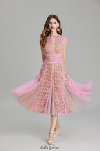 phoenix 3d Embroidered lace mesh midi dress in pink