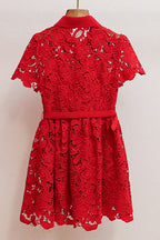 Flowering Girl Women Burgundy Lace Collared Mini Dress