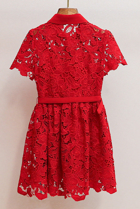 Flowering Girl Women Burgundy Lace Collared Mini Dress