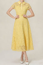 Lace Collared Belted Midi Dress