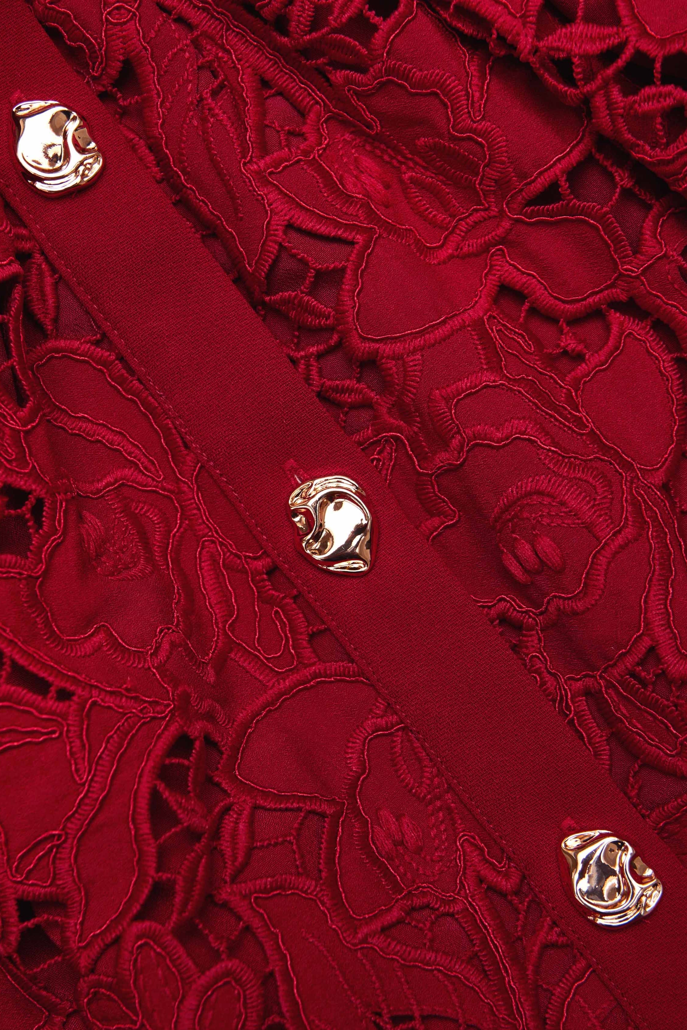 Burgundy Lace Collared Mini Dress