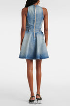 Penaza Denim Sleeveless Flared Mini Dress
