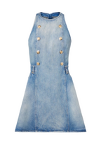 Penaza Denim Sleeveless Flared Mini Dress